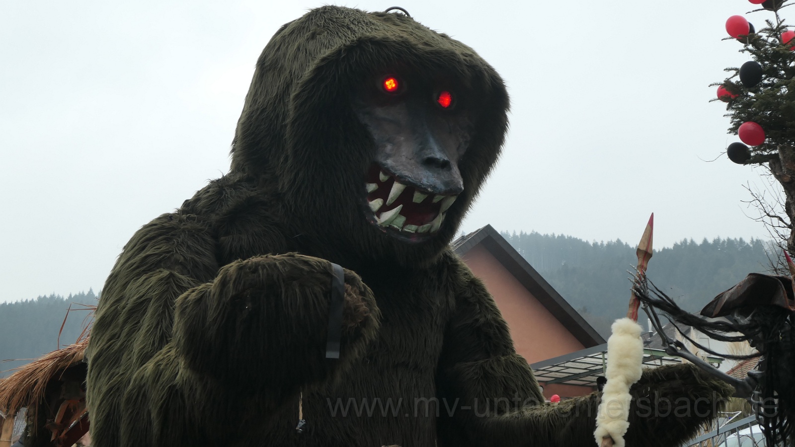 2026-02 Narrentreffen Hofstetten (4).JPG